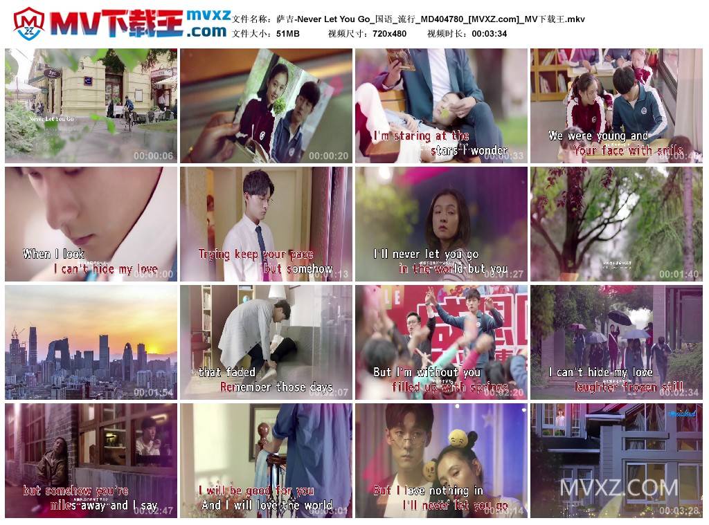 萨吉-Never Let You Go_国语_流行_MD404780